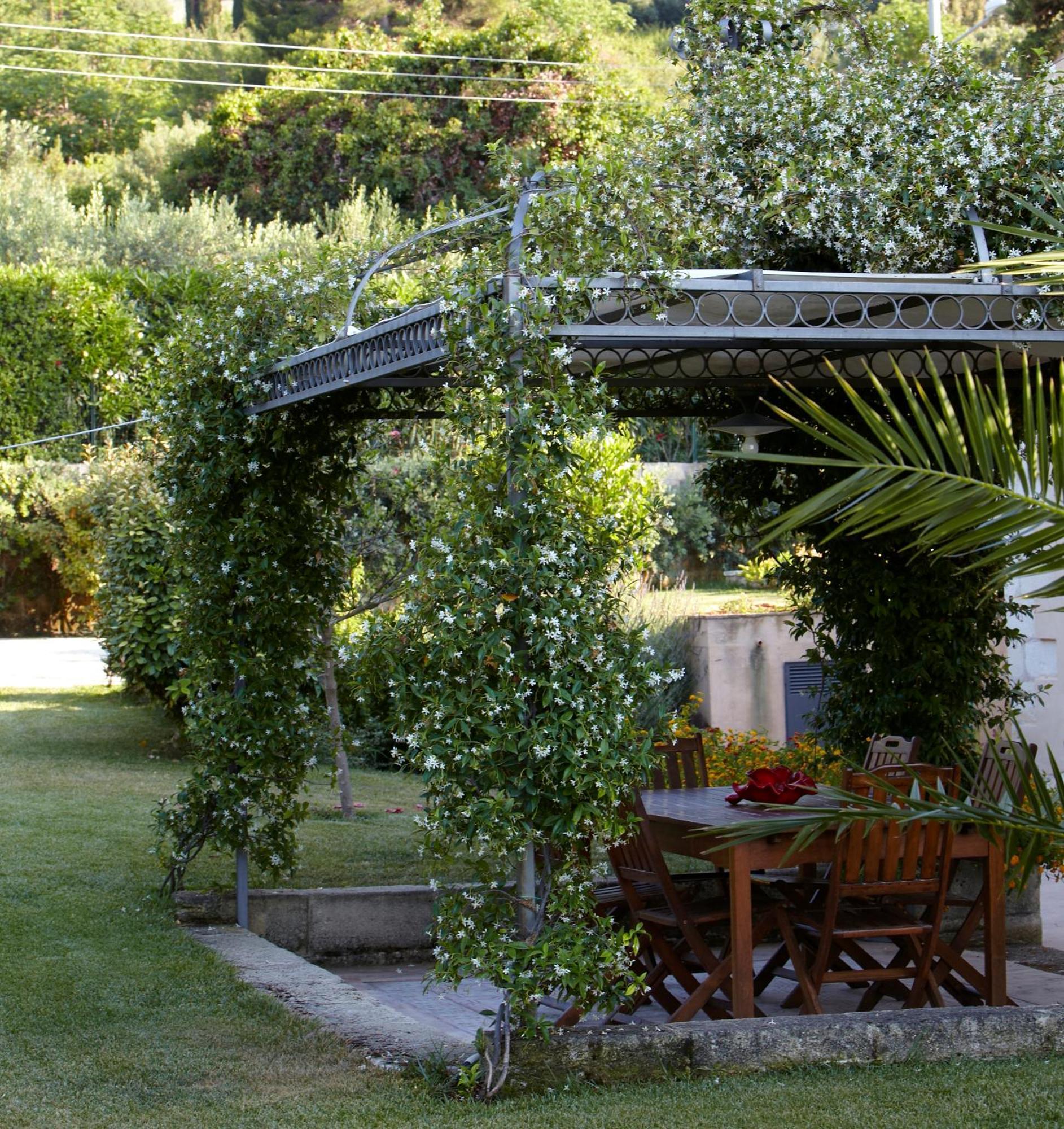 Baglio Sant'Andrea Bed and Breakfast Valderice Eksteriør billede